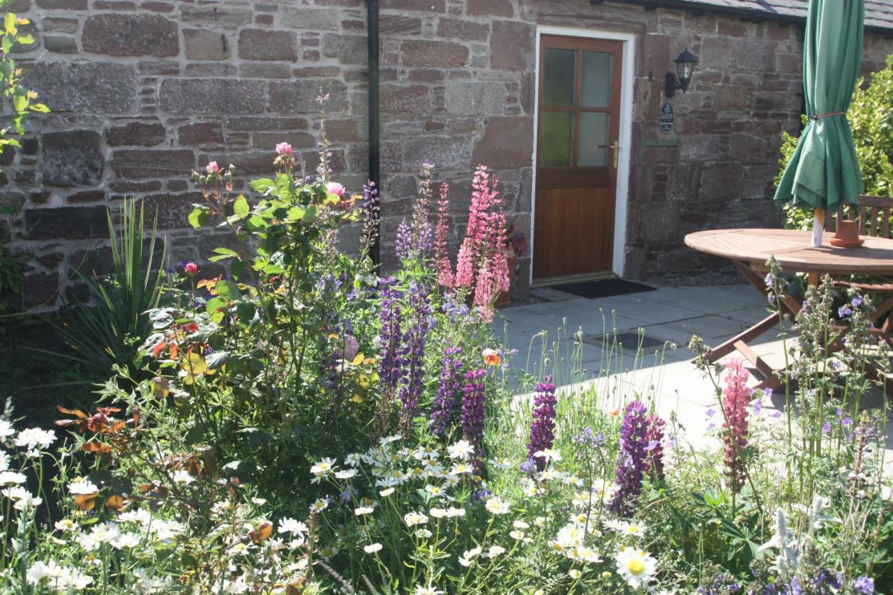 Apartment Anniston Farm Inverbervie